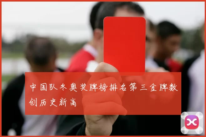 中国队冬奥奖牌榜排名第三金牌数创历史新高