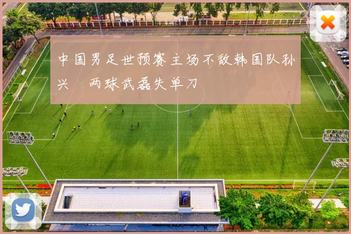 中国男足世预赛主场不敌韩国队孙兴慜两球武磊失单刀