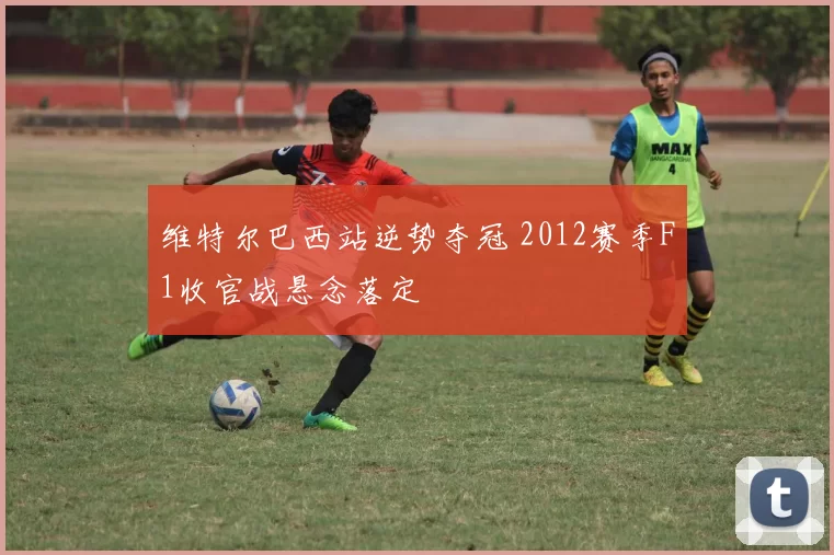 维特尔巴西站逆势夺冠 2012赛季F1收官战悬念落定