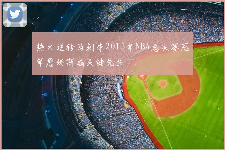 热火逆转马刺夺2013年NBA总决赛冠军詹姆斯成关键先生